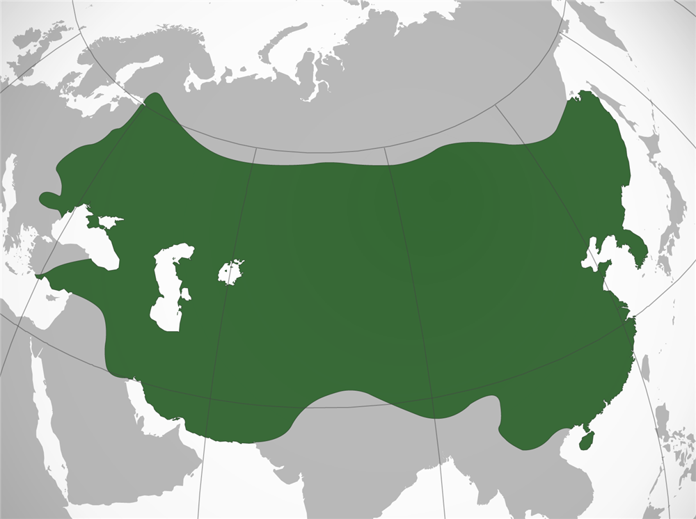 モンゴル帝国最大版図（1279年）