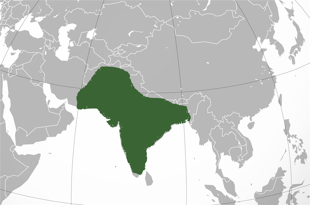 ムガル帝国最大版図（正投影）
